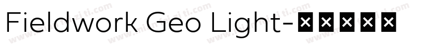 Fieldwork Geo Light字体转换